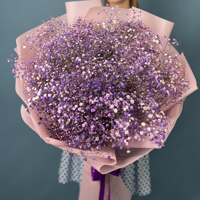 15 фиолетовых гипсофил